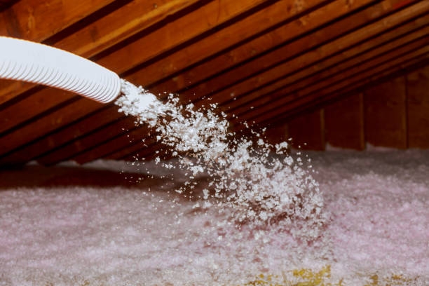 Trusted Cloverdale, IN Insulation Contractor Experts